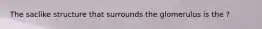 The saclike structure that surrounds the glomerulus is the ?