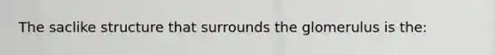 The saclike structure that surrounds the glomerulus is the: