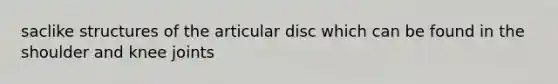 saclike structures of the articular disc which can be found in the shoulder and knee joints