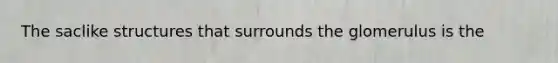 The saclike structures that surrounds the glomerulus is the