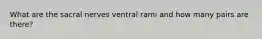 What are the sacral nerves ventral rami and how many pairs are there?