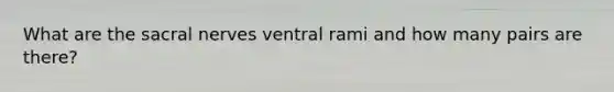 What are the sacral nerves ventral rami and how many pairs are there?