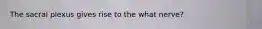 The sacral plexus gives rise to the what nerve?