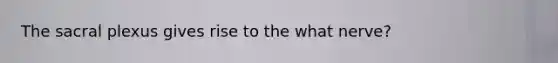The sacral plexus gives rise to the what nerve?