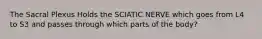 The Sacral Plexus Holds the SCIATIC NERVE which goes from L4 to S3 and passes through which parts of the body?