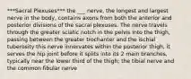 ***Sacral Plexuses*** the ___ nerve, the longest and largest nerve in the body, contains axons from both the anterior and posterior divisions of the sacral plexuses. The nerve travels through the greater sciatic notch in the pelvis into the thigh, passing between the greater trochanter and the ischial tuberosity this nerve innervates within the posterior thigh, it serves the hip joint before it splits into its 2 main branches, typically near the lower third of the thigh; the tibial nerve and the common fibular nerve
