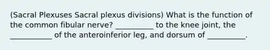 (Sacral Plexuses Sacral plexus divisions) What is the function of the common fibular nerve? __________ to the knee joint, the ___________ of the anteroinferior leg, and dorsum of __________.