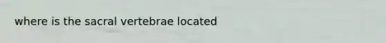 where is the sacral vertebrae located