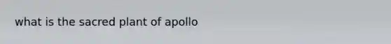 what is the sacred plant of apollo