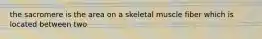the sacromere is the area on a skeletal muscle fiber which is located between two
