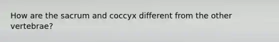 How are the sacrum and coccyx different from the other vertebrae?