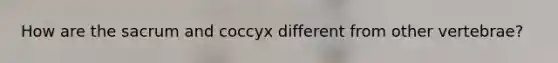 How are the sacrum and coccyx different from other vertebrae?