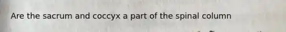 Are the sacrum and coccyx a part of the spinal column