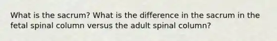 What is the sacrum? What is the difference in the sacrum in the fetal spinal column versus the adult spinal column?