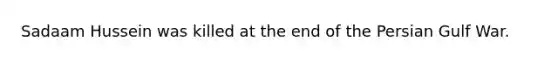 Sadaam Hussein was killed at the end of the Persian <a href='https://www.questionai.com/knowledge/kk8RNOKPQH-gulf-war' class='anchor-knowledge'>gulf war</a>.