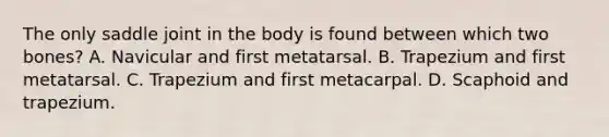 The only saddle joint in the body is found between which two bones? A. Navicular and first metatarsal. B. Trapezium and first metatarsal. C. Trapezium and first metacarpal. D. Scaphoid and trapezium.