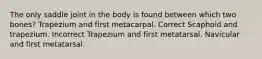 The only saddle joint in the body is found between which two bones? Trapezium and first metacarpal. Correct Scaphoid and trapezium. Incorrect Trapezium and first metatarsal. Navicular and first metatarsal.