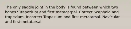 The only saddle joint in the body is found between which two bones? Trapezium and first metacarpal. Correct Scaphoid and trapezium. Incorrect Trapezium and first metatarsal. Navicular and first metatarsal.