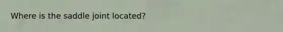 Where is the saddle joint located?