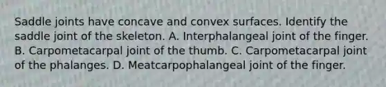 Saddle joints have concave and convex surfaces. Identify the saddle joint of the skeleton. A. Interphalangeal joint of the finger. B. Carpometacarpal joint of the thumb. C. Carpometacarpal joint of the phalanges. D. Meatcarpophalangeal joint of the finger.