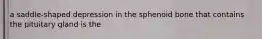 a saddle-shaped depression in the sphenoid bone that contains the pituitary gland is the