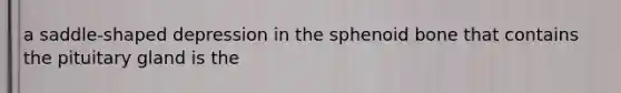 a saddle-shaped depression in the sphenoid bone that contains the pituitary gland is the