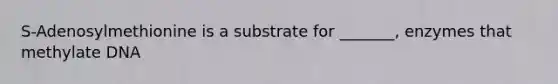 S-Adenosylmethionine is a substrate for _______, enzymes that methylate DNA