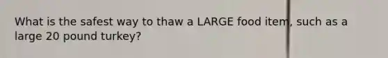 What is the safest way to thaw a LARGE food item, such as a large 20 pound turkey?