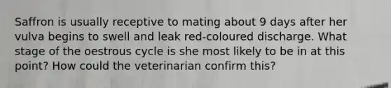 Saffron is usually receptive to mating about 9 days after her vulva begins to swell and leak red-coloured discharge. What stage of the oestrous cycle is she most likely to be in at this point? How could the veterinarian confirm this?