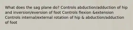 What does the sag plane do? Controls abduction/adduction of hip and inversion/eversion of foot Controls flexion &extension Controls internal/external rotation of hip & abduction/adduction of foot