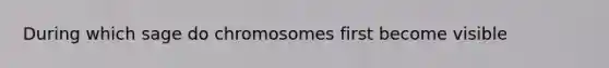 During which sage do chromosomes first become visible