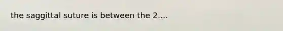 the saggittal suture is between the 2....