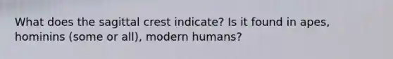 What does the sagittal crest indicate? Is it found in apes, hominins (some or all), modern humans?