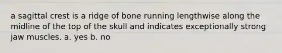 a sagittal crest is a ridge of bone running lengthwise along the midline of the top of the skull and indicates exceptionally strong jaw muscles. a. yes b. no