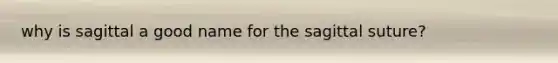 why is sagittal a good name for the sagittal suture?
