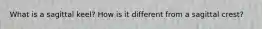 What is a sagittal keel? How is it different from a sagittal crest?