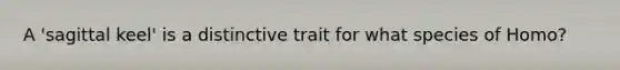 A 'sagittal keel' is a distinctive trait for what species of Homo?