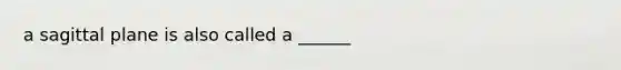 a sagittal plane is also called a ______