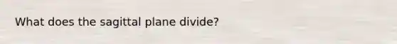 What does the sagittal plane divide?