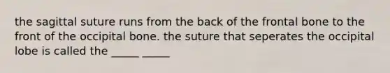 the sagittal suture runs from the back of the frontal bone to the front of the occipital bone. the suture that seperates the occipital lobe is called the _____ _____