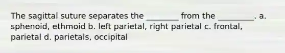 The sagittal suture separates the ________ from the _________. a. sphenoid, ethmoid b. left parietal, right parietal c. frontal, parietal d. parietals, occipital