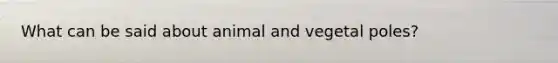 What can be said about animal and vegetal poles?