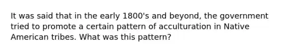 It was said that in the early 1800's and beyond, the government tried to promote a certain pattern of acculturation in Native American tribes. What was this pattern?