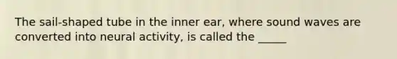 The sail-shaped tube in the inner ear, where sound waves are converted into neural activity, is called the _____