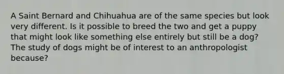 A Saint Bernard and Chihuahua are of the same species but look very different. Is it possible to breed the two and get a puppy that might look like something else entirely but still be a dog? The study of dogs might be of interest to an anthropologist because?