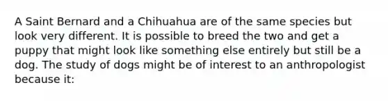 A Saint Bernard and a Chihuahua are of the same species but look very different. It is possible to breed the two and get a puppy that might look like something else entirely but still be a dog. The study of dogs might be of interest to an anthropologist because it: