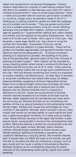 Salad crop Lycopersicum esculentum Propagation * Sowing medium sized seed into modules of seed sowing compost from late March for outdoors or late February early march for indoors * Containers/environment = clean to avoid fungal diseases * Seed = viable and provided with the optimum germination conditions i.e. moisture, oxygen and a temperature range of 18-21°C * Pricking out or potting should be carried out when the seedlings are of a suitable size to handle. * They are graded and pricked out into a suitable growing medium using the correct handling technique and provided with irrigation, nutrient and optimum light for growing on * Supplementary lighting and carbon dioxide enrichment may be required by the plants Establishment - Pot on when first trusses start to flower, 45cm apart or 23cm pots - May be grown in grow bags, border soil, ring culture or using the nutrient film technique - Preparation of the soil; partial sterilisation and the addition of a base fertiliser. - Plants will be graded and handled appropriately and planted in double rows at optimum spacing including paths etc. - To ensure successful planting it is important to consider; the handling of the plant, size of the planting hole, optimum depth of the hole, firmness of planting and plant support. - Plant support can be provided by using a layering system where string is anchored to the base of the plant and fed out by the use of an 'S' Hook - Initial watering and environmental control will encourage quick establishment of the crop - Pest and disease monitoring and control are important to ensure a healthy crop Maintenance - tie main stem to bamboo or sting from roof Remove side shoots Feed every 10-14days balanced fertiliser swapping to tomorite high potash during flower Once at disired height remove top truss Keep soil moist with even watering to avoid split or blossum end rot P&D: Blossom end rot: Blossom End Rot which is caused by a deficiency in calcium, causes the young leaves to become chlorotic and the tomatoes to turn brown at the base and rot. Remedy: Water regularly and not sporadically and never allow the soil to dry out. Blossom End Rot can be controlled by the addition of lime e.g. ground limestone to the soil/growing media. Tomato blight: Disease that causes fruit and foliage rot, most common in wet weather. Remedy: Select resistant cultivars. Grey mould: Leaf mould can develop rapidly to cause significant yield loss in greenhouse-grown tomatoes. It is rarely seen on outdoor crops. Yellow blotches develop on the upper leaf surface. A pale, greyish-brown mould growth is found on the corresponding lower surface. Where the disease is severe the mould growth may also be found on the upper surface. Remedy: Select resistant cultivars. Provide ample ventilation to indoor tomato crops. Tomato splitting: Splitting of tomatoes is caused by wet conditions followed by a long dry period. The tomatoes literally split. It usually does not affect the taste of the tomato, but split fruit left on the plant will often be infected by a fungus, such as grey mould and can cause a variety of physiological disorders. Remedy: Splitting can be controlled by improving the water retention of the soil/growing media and by regular and careful watering.