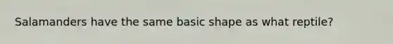 Salamanders have the same basic shape as what reptile?