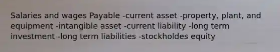 Salaries and wages Payable -current asset -property, plant, and equipment -intangible asset -current liability -long term investment -long term liabilities -stockholdes equity