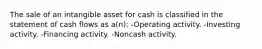 The sale of an intangible asset for cash is classified in the statement of cash flows as a(n): -Operating activity. -Investing activity. -Financing activity. -Noncash activity.